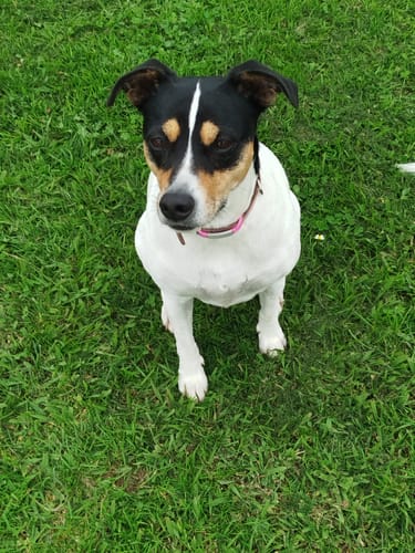 Customer photo review of Light