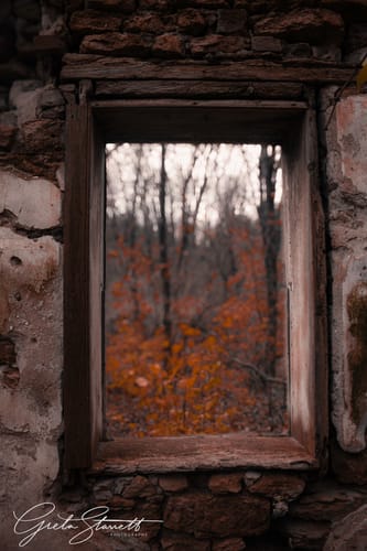 Customer photo review of Woodland+ Subscription