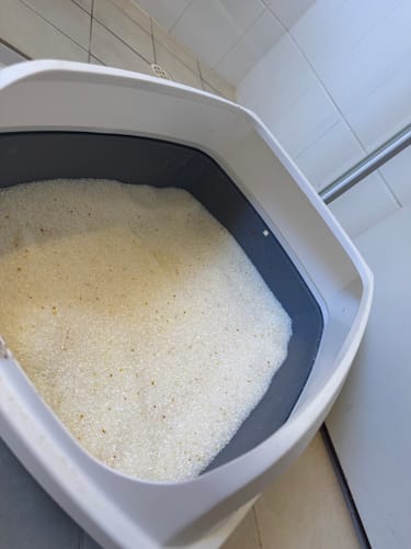 Customer photo review of 1 Month Supply – 1 Cat