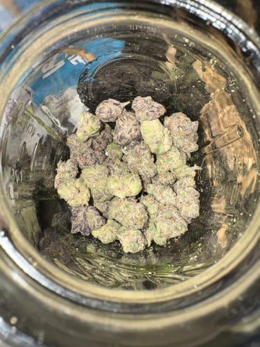 Customer photo review of Granddaddy Purp - Exotic Smalls