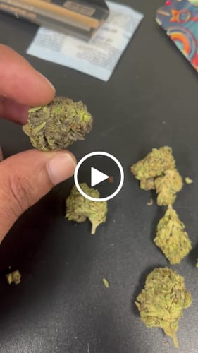 Customer video review of Black Cherry Caviar - Bulk - Indica