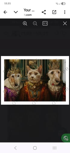 Customer photo review of The Nobles - Custom Pet Portrait