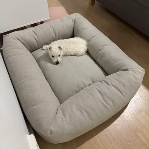 Customer photo review of Dream - Pellava-puuvilla