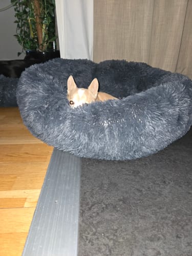 Customer photo review of CalmBed - Motverkar stress & hjälper mot ångest