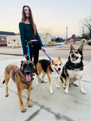 Customer photo review of Leader Lite