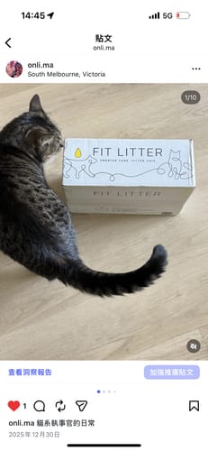 Customer photo review of 1 Month Supply - 1 Cat - One-Time Purchase