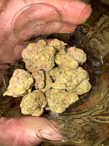 Customer photo review of Trainwreck