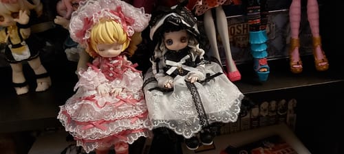 Customer's two Kiseki Vintage Treasures action figures sitting on a shelf, one in a detailed pink dress and one in a black and white dress.