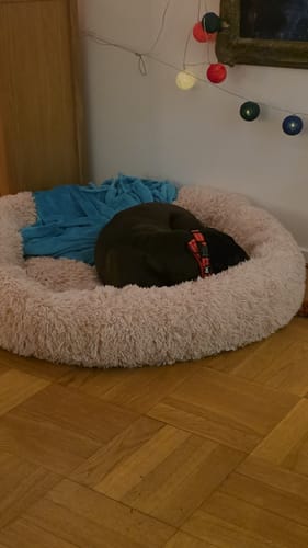 Customer photo review of CalmBed - Motverkar stress & hjälper mot ångest