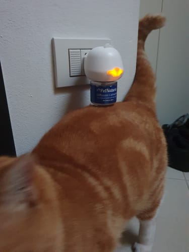 Customer photo review of Diffusore Calmante per Gatti