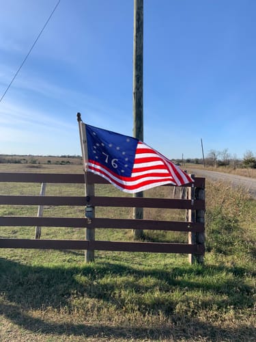 Customer photo review of Non-Tangle Flagpole Spinners
