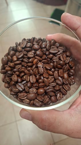 Customer photo review of CHIAPAS, LA CONCORDIA