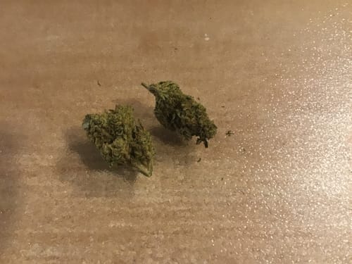 Customer photo review of THCA Queen