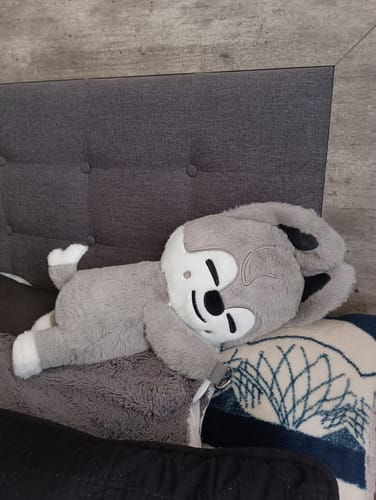 Customer's gray SKZOO PLUSH BAG resting on its side against a cushioned headboard.