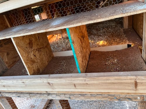 Customer showing the Nesting Herbs sprinkled in their wooden chicken coop's nesting boxes.