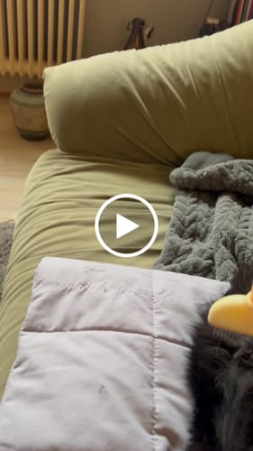 Customer video review of PelsLyn-børste™ – Den ultimative løsning til pelspleje