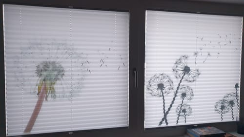 Customer photo review of Plissee Motiv "Pusteblumen Grafik"