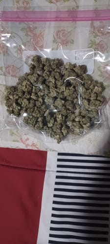 Customer photo review of Citrus Skunk - Minis - 28 Grams - Hybrid