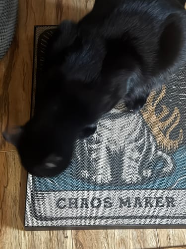 Customer's black cat standing on the Chaos Maker scratching board, showing the illustrated print on the floor.