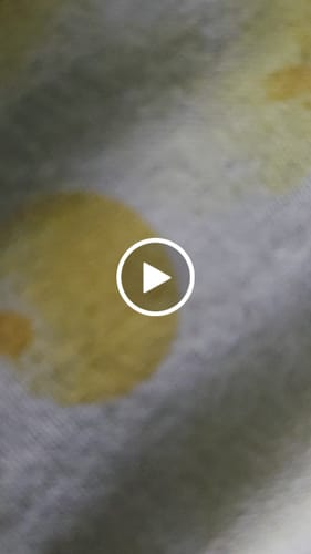 Customer video review of THC-A 36% Flower Granddaddy Purple