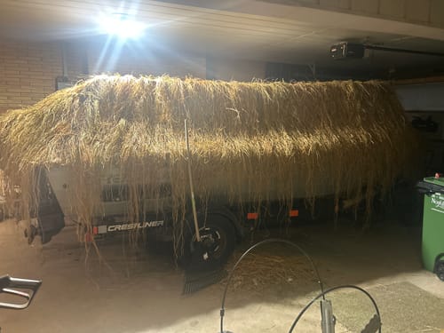 Customer photo review of Madagascar Raffia — Multi-Color Packs