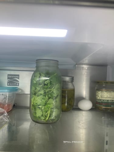 Customer's Mason Genie Vacuum Sealer Kit used on a clear jar of fresh herbs inside a refrigerator.
