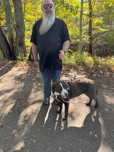 Customer's dog wearing a dark Personalized Dog Harness while standing on a dirt path with a person.