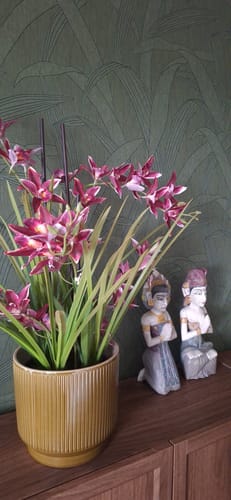 Customer photo review of Meadow Orchidee kunstplant Rood 70cm