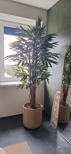 Customer photo review of Longifolia Kunstplant 180cm