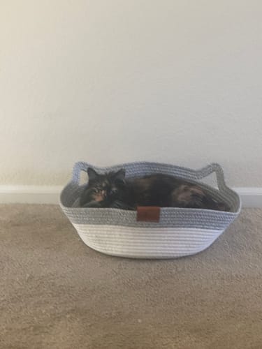 Customer's cat resting comfortably inside an Instinct Basket made of white and gray woven rope.