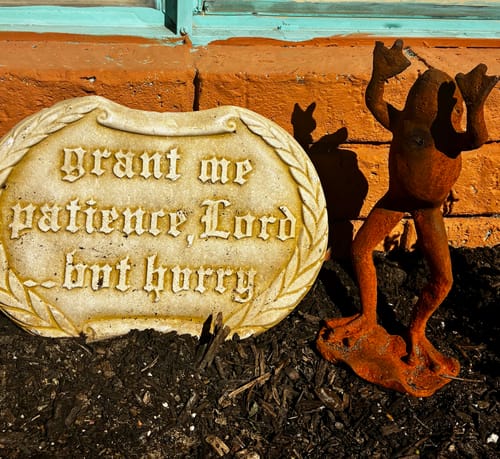 Customer's natural rust cast iron Frog Prince statue standing next to a humorous sign in a garden.