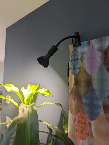 Customer photo review of Pianta Grow Light LED Bulb