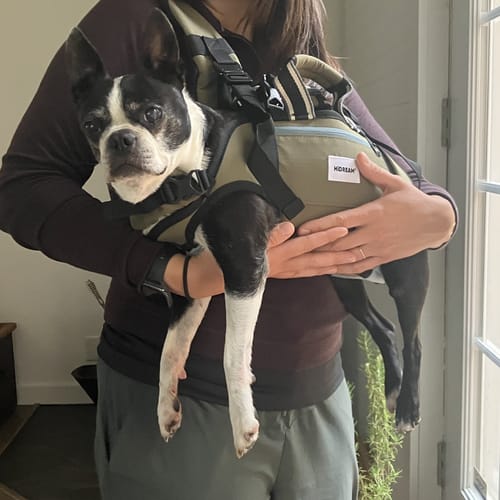 Customer photo review of Double Shoulder Carrier Backpack