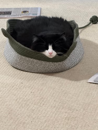 Customer's tuxedo cat sleeping soundly inside a round Instinct Basket with grey and green woven rope walls.
