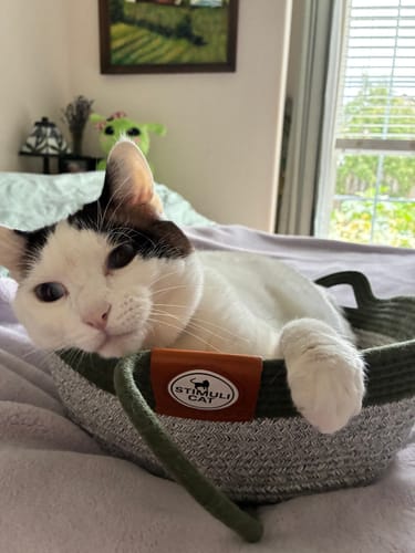 Customer's black and white cat relaxing inside the green and white rope Instinct Basket.