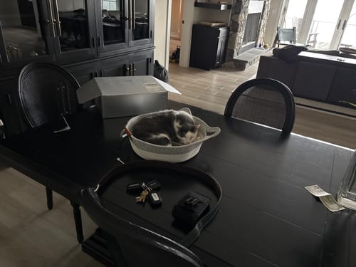 Customer's cat sleeping in the grey and white Instinct Basket, centered on a black dining table.