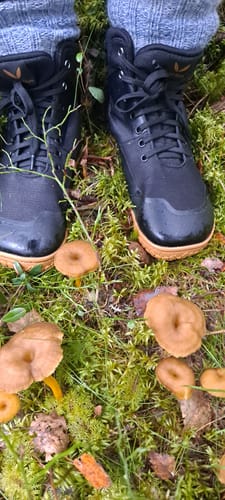 Arvostelijan mustat Vaistoa Tuohi 2 -paljasjalkakengät metsäisessä maastossa sienien joukossa