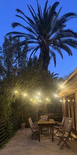 Customer photo review of Plug-In Festoon Bulb String Lights