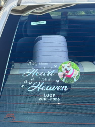 Customer's No Longer By My Side personalized pet memorial decal on a car window, showing a dog photo and memorial text.