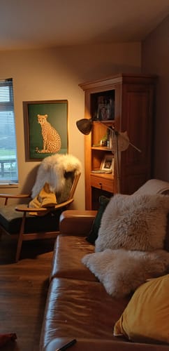Customer photo review of Yellow Cheetah on Green No2 Print