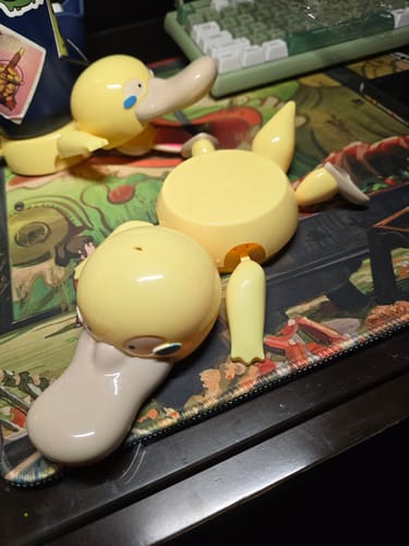 Customer photo review of Screaming Duck Coaster