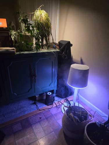 Customer photo review of Carepod One Plus with Stand - Stainless Steel Humidifier with Mood Light
