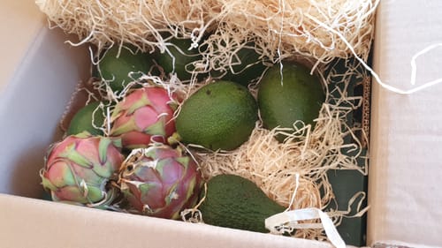 Kundenbild der Avocado Entdeckerbox mit verschiedenen frischen Avocados in der Kiste.