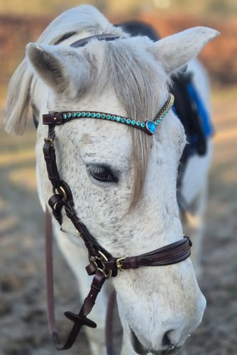 Customer photo review of Ocean pearl