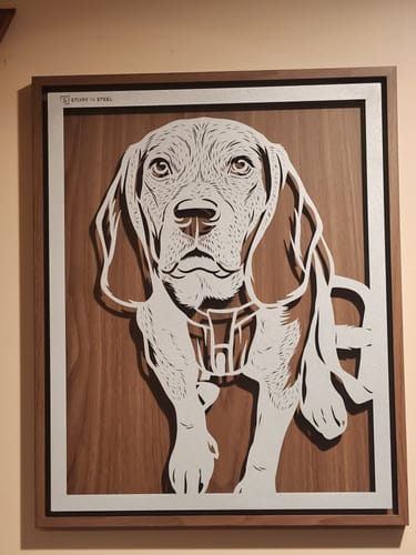Customer photo review of Custom Pet Metal Portrait