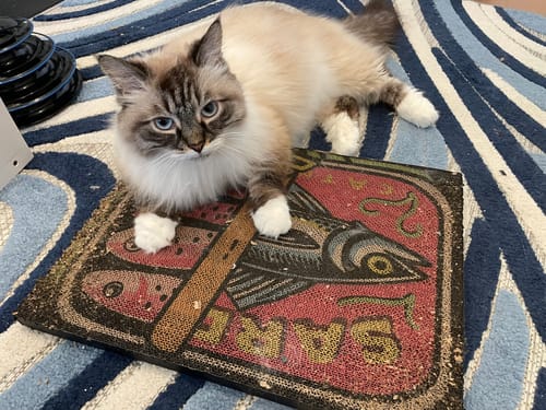 Customer photo review of Sardine Tin - Luxury Cat Scratching Board