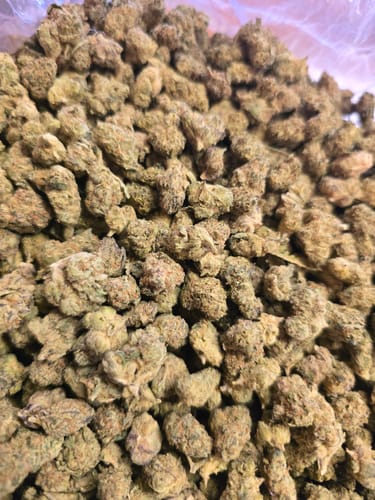 Customer photo review of Bulk THCA Smalls