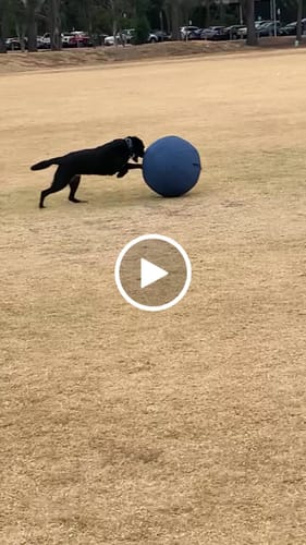 Customer video review of Inner Ball