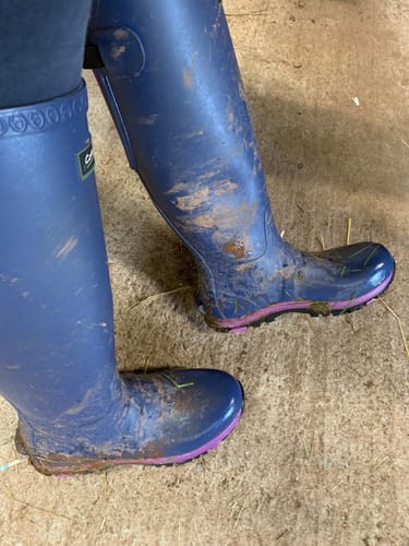 Customer photo review of Realm Adjustable Wellingtons Blue/Purple