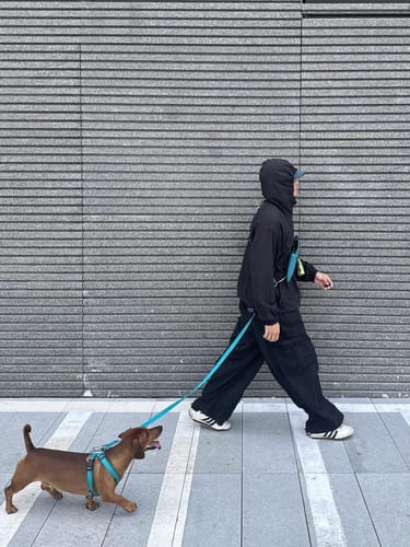 Customer photo review of BOBO X-Shaped Trachea-Protective Harness | Choose from Harness, Leash, Travel Bag, or 3-in-1 Set